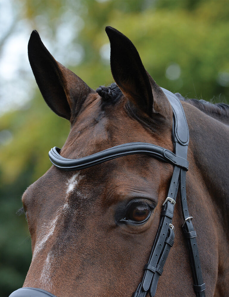 COLLEGIATE ComFiTec Vogue Anatomical Bridle