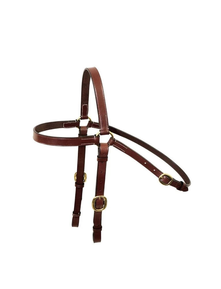 TANAMI Bridle Head 3/4" Brass
