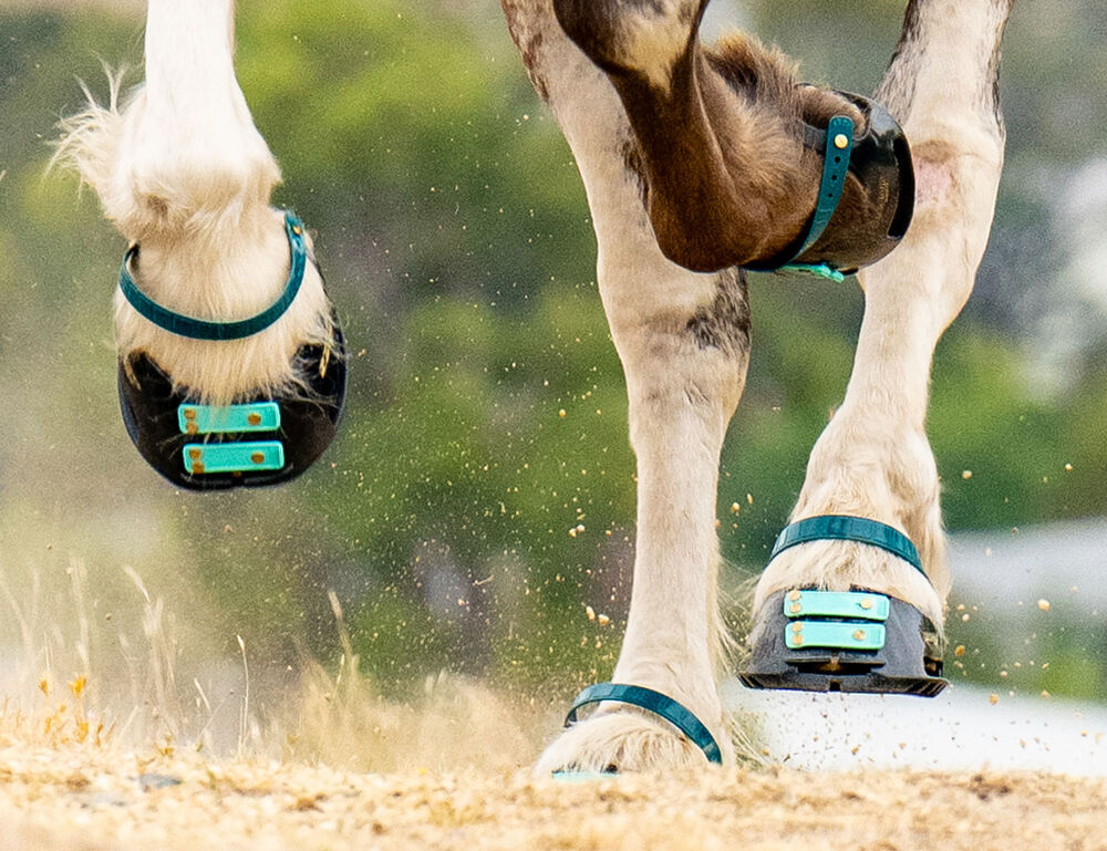 SCOOT BOOTS Scoot Boot Front Strap