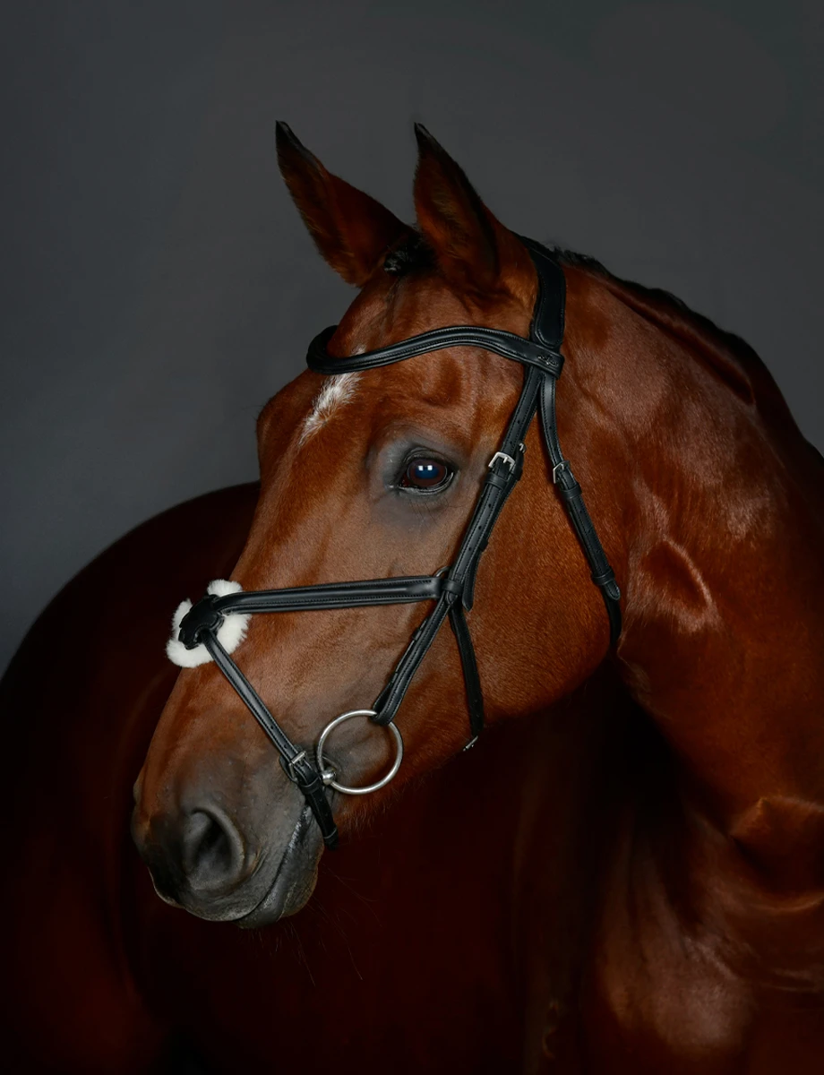 COLLEGIATE ComFiTec Opulux Plain Padded Grackle Bridle