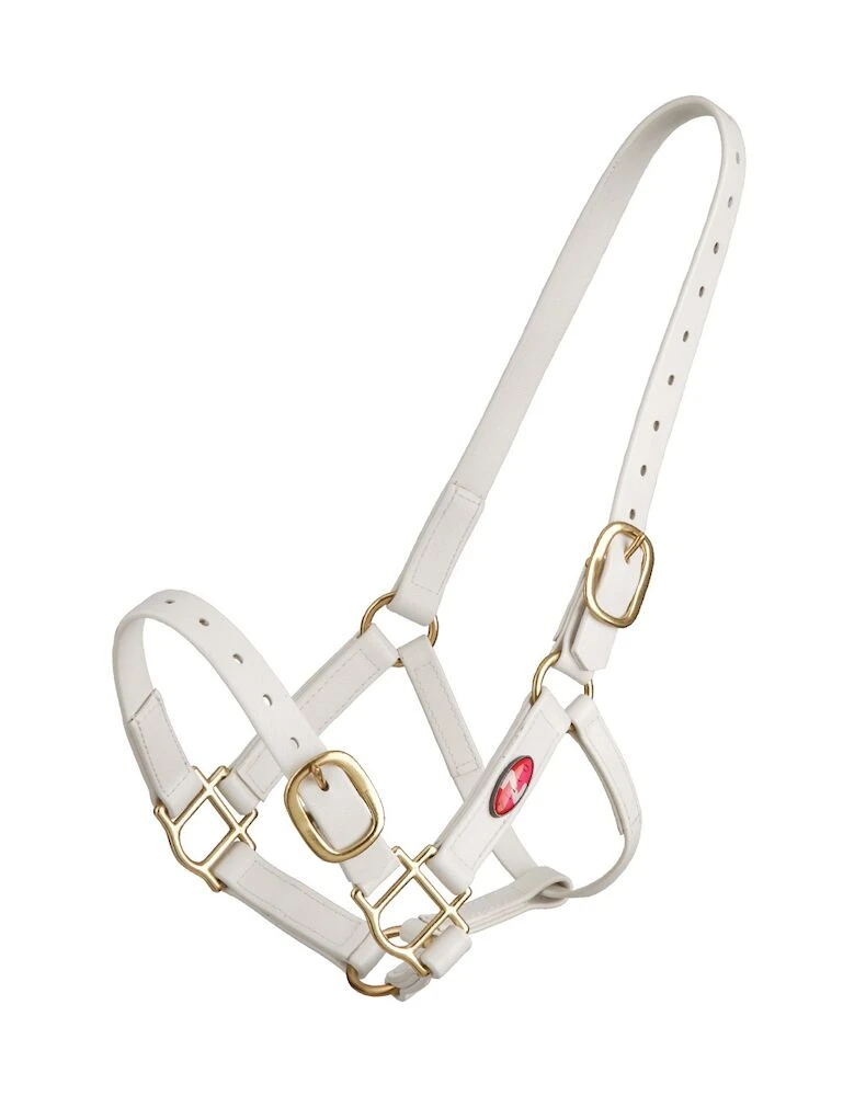ZILCO PVC Pn Headstall