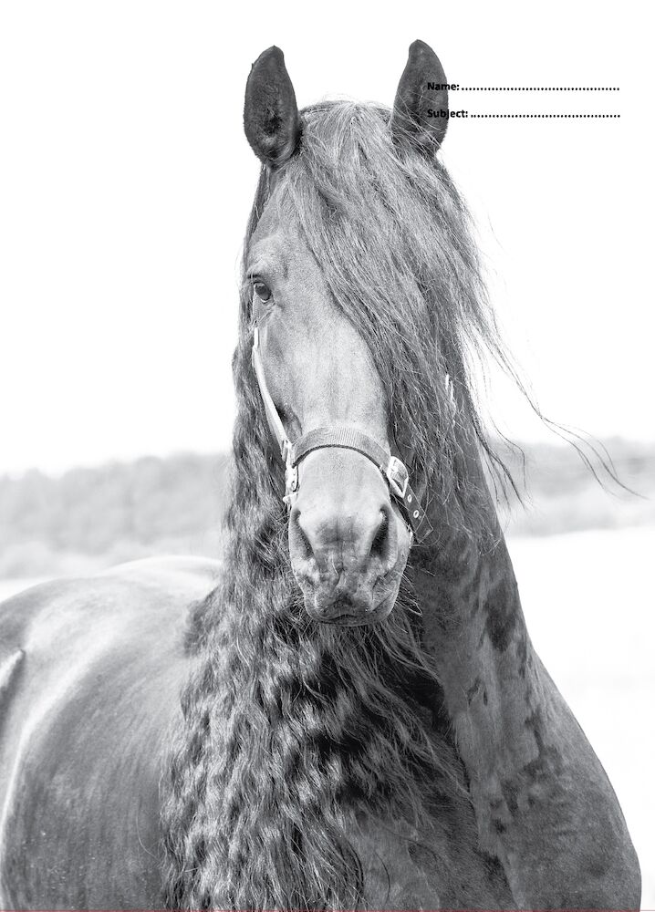 SPENCIL Black & White Horses Scrapbook Cover 2