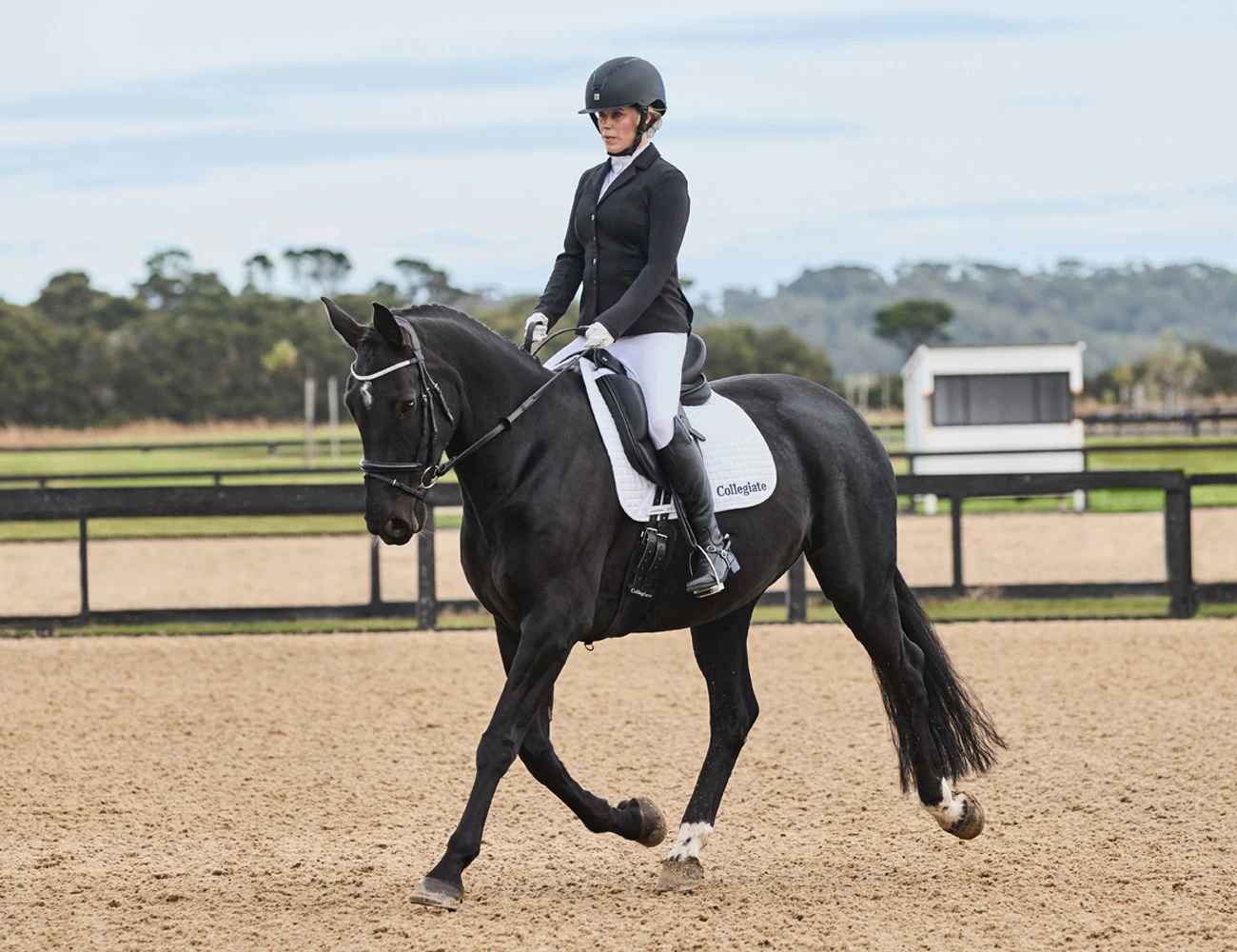 COLLEGIATE Resolute Dressage Saddle