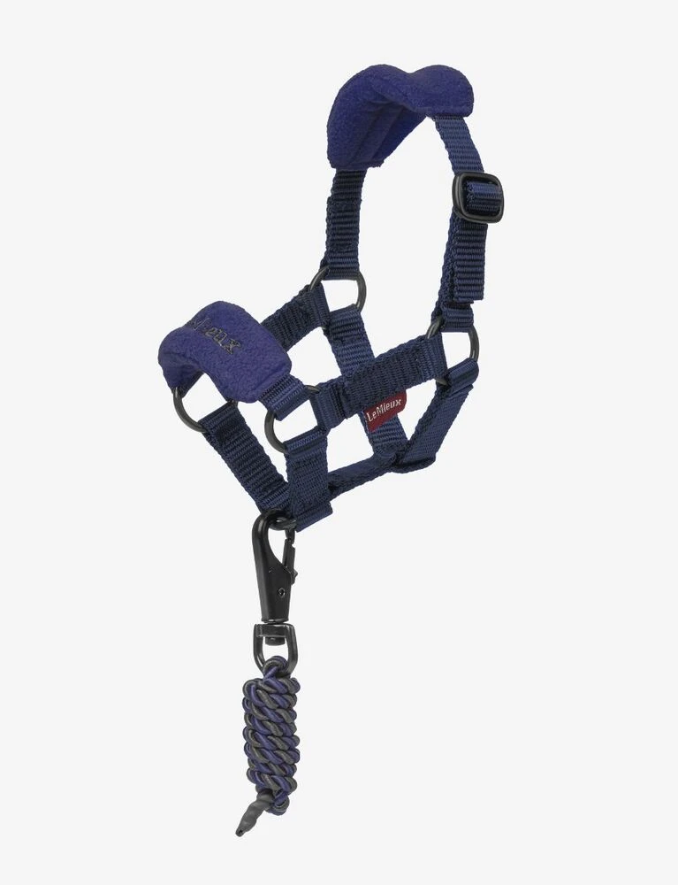 LEMIEUX Toy Pony Headcollar