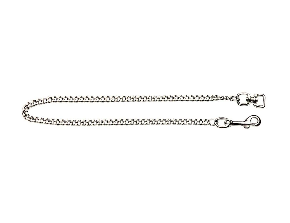 UNBRANDED Fine Chrome Lead Chain