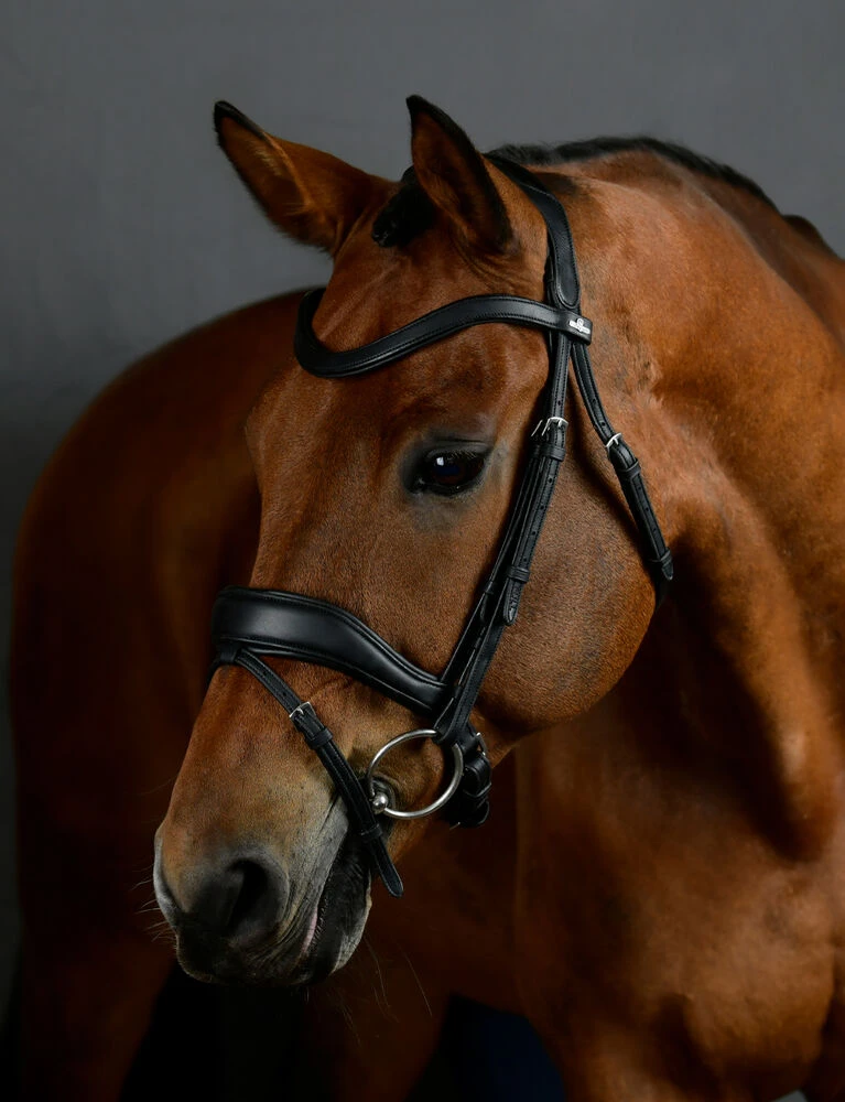 COLLEGIATE ComFiTec Opulux Padded Dressage Bridle