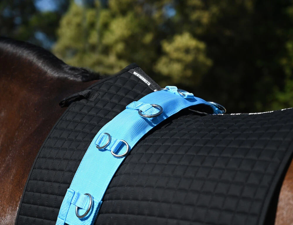 KINCADE Brights Deluxe Equigrip Lunge Roller