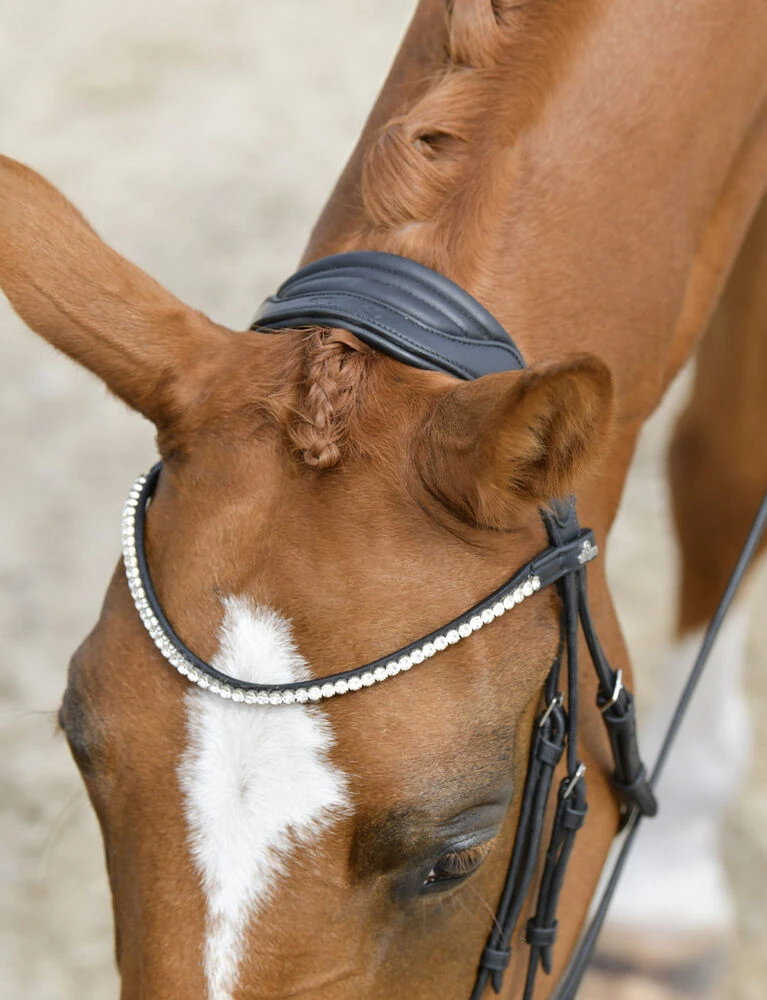 COLLEGIATE ComFiTec Opulux Raised Dressage Bridle