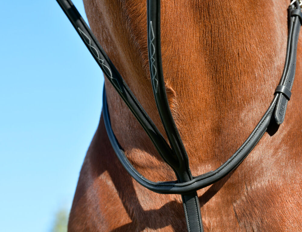 COLLEGIATE ComFiTec Opulux Fancy Raised Running Martingale