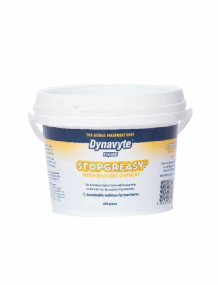 DYNAVYTE Stopgreasy - 600GM
