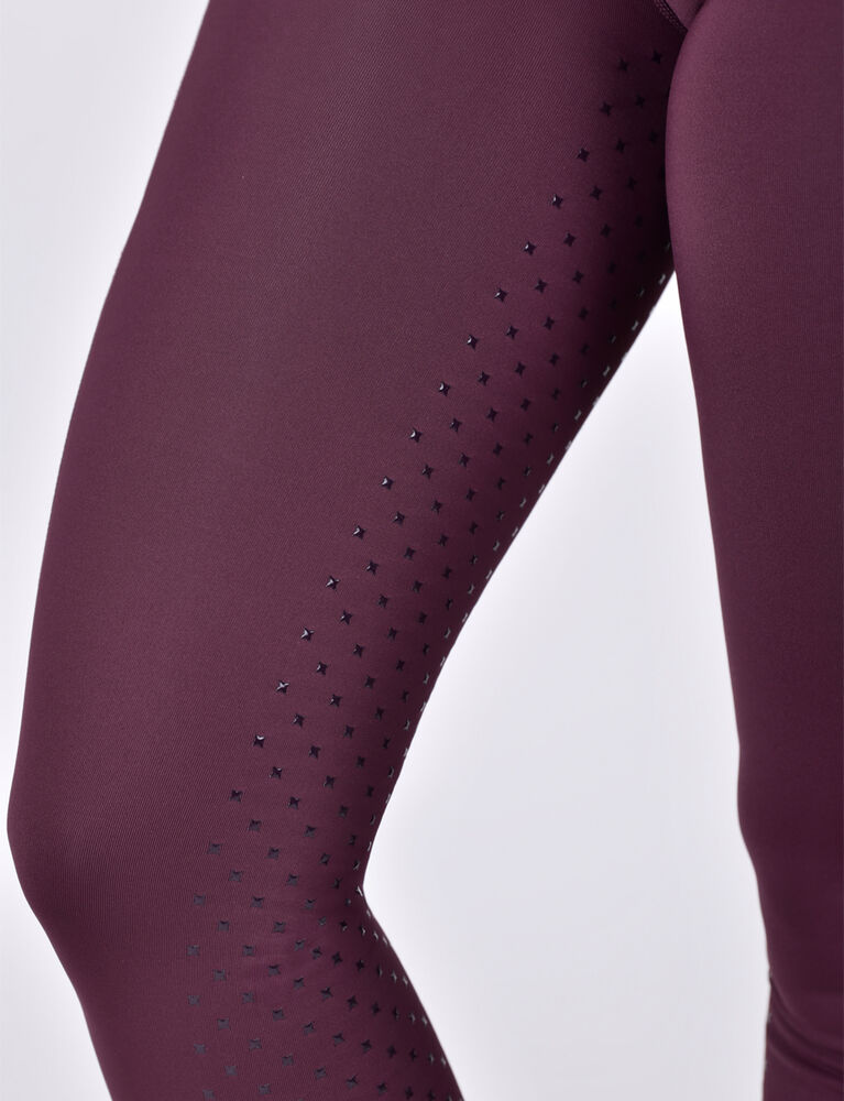 DUBLIN Form Mesh Riding Tights