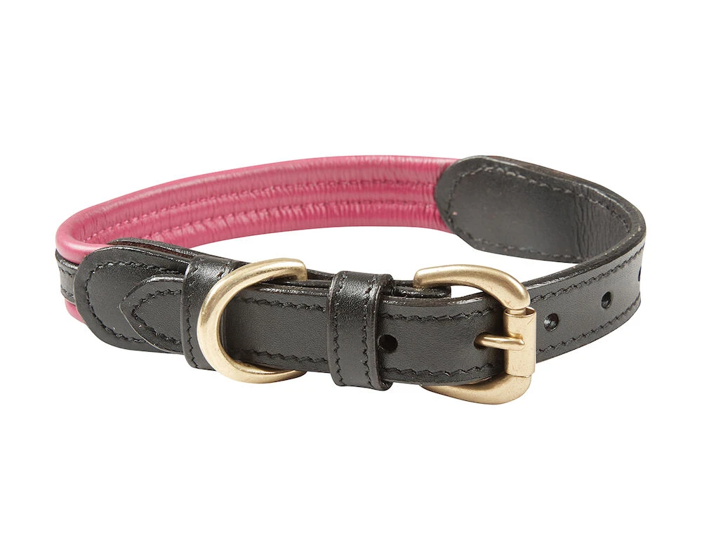 WEATHERBEETA Padded Colour Leather Dog Collar