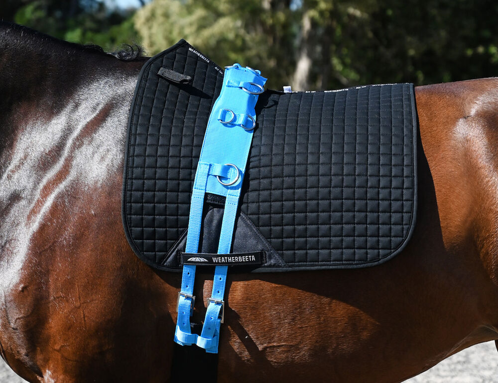 KINCADE Brights Deluxe Equigrip Lunge Roller