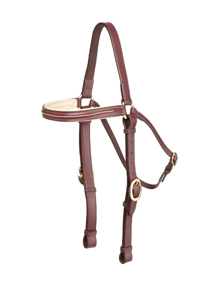 OREGON Plaited & Padded Brow Barcoo Bridle Head