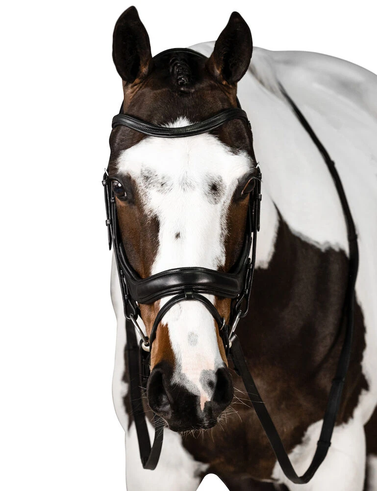 LARA TWEEDIE Connection Bridle