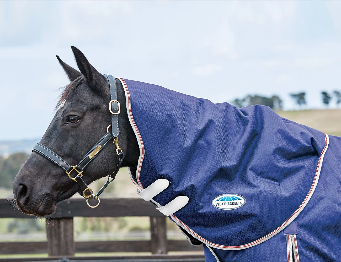 WEATHERBEETA ComFiTec Essential Neck Rug Medium