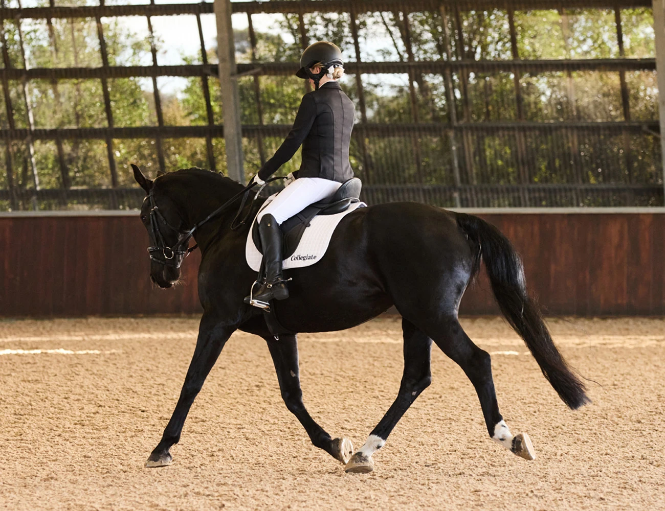 COLLEGIATE Acclaim Dressage Saddle