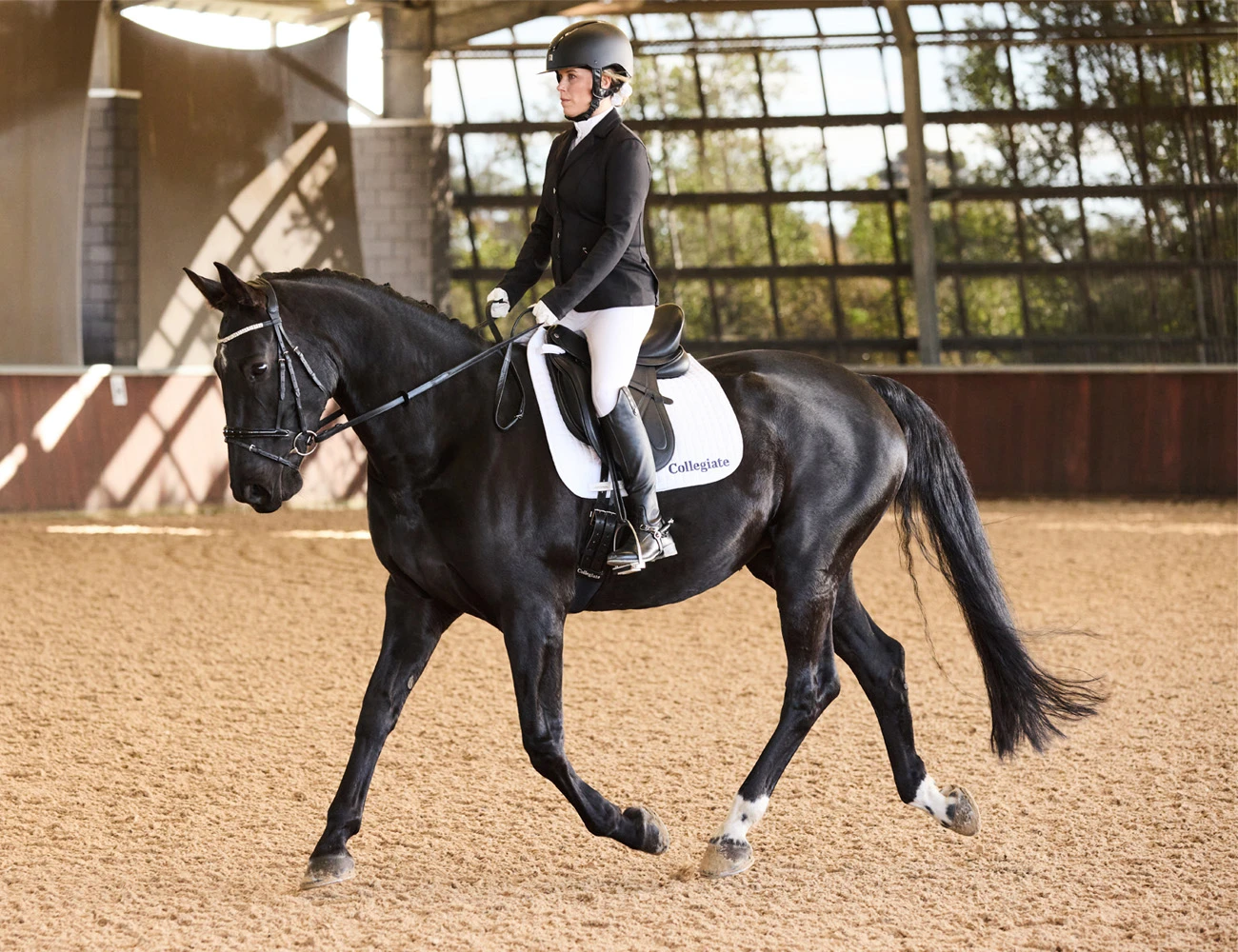 COLLEGIATE Acclaim Dressage Saddle