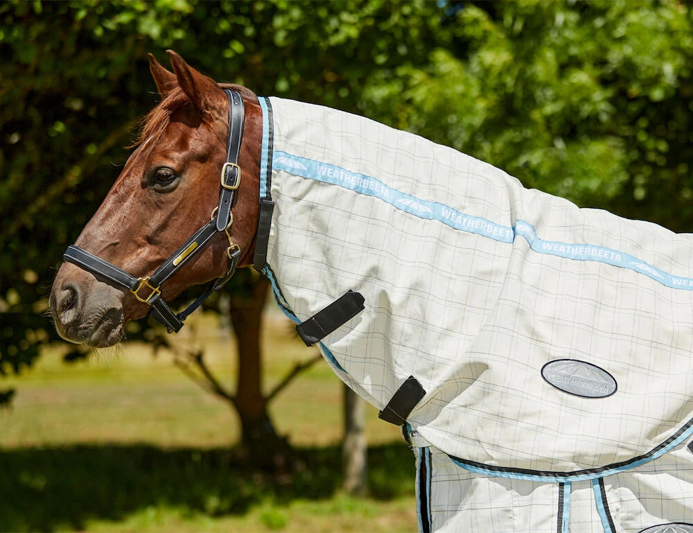 WEATHERBEETA Cotton Summer Sheet Neck Rug