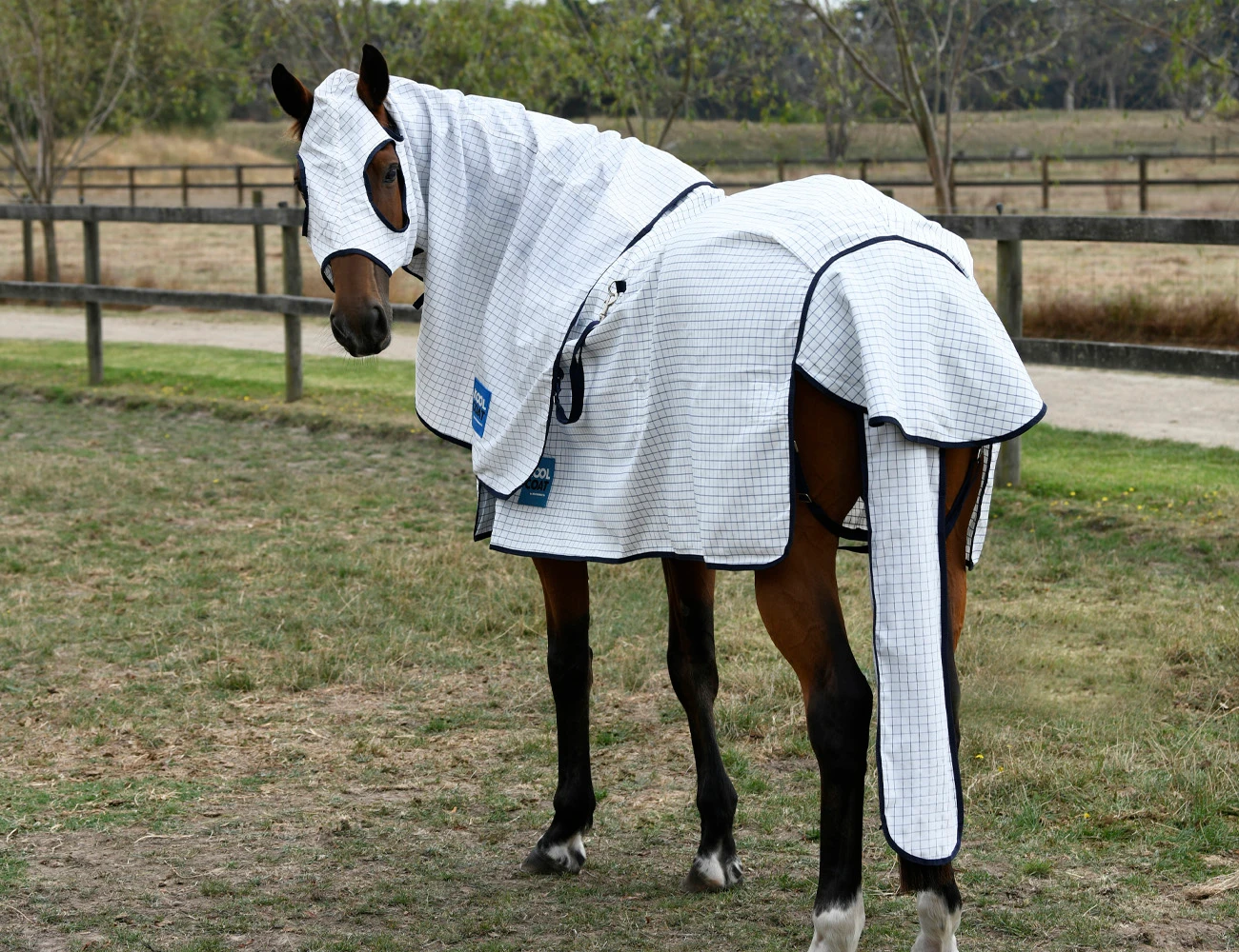 KOOL COAT Classic Tail Bag