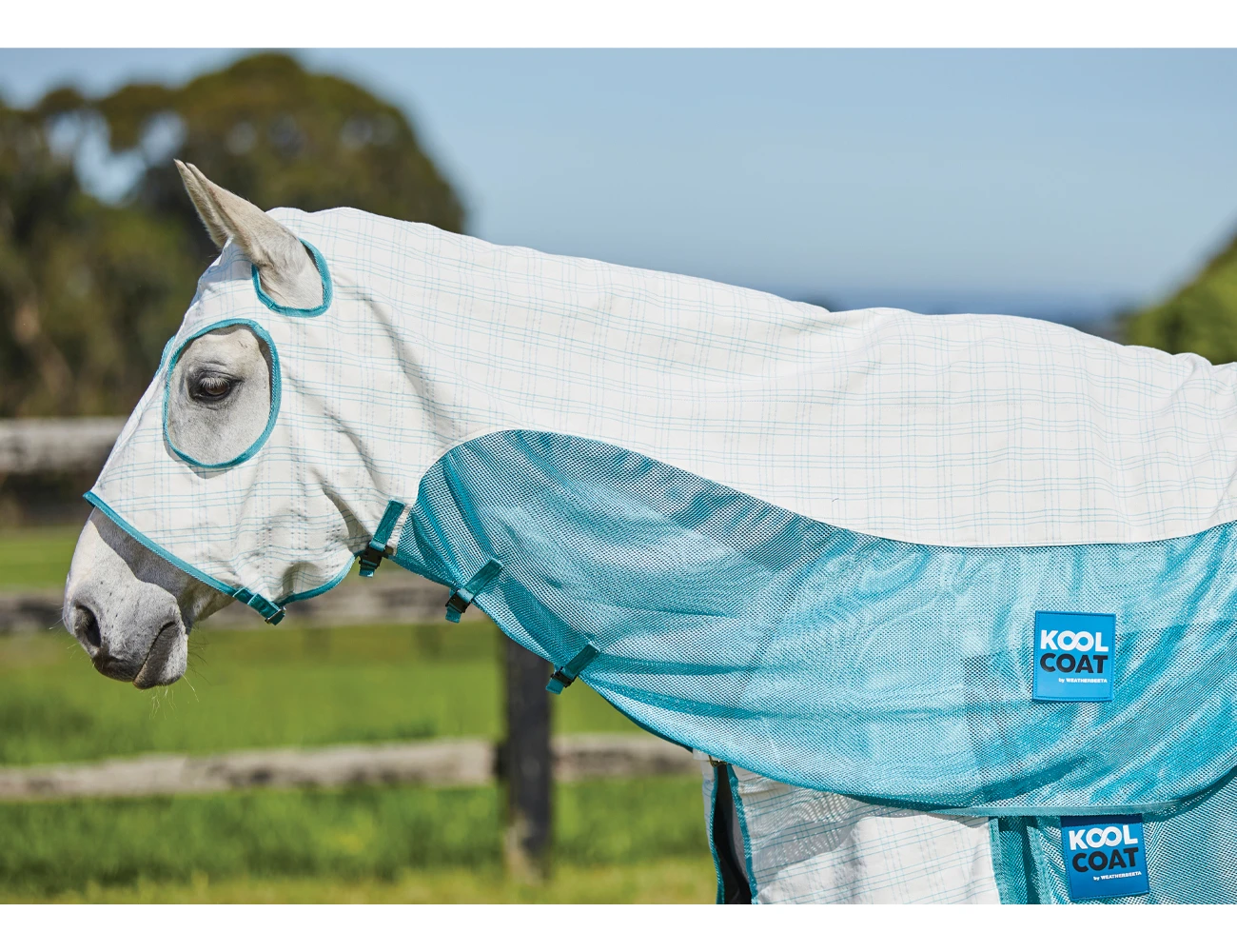 KOOL COAT Cotton Airstream Hood