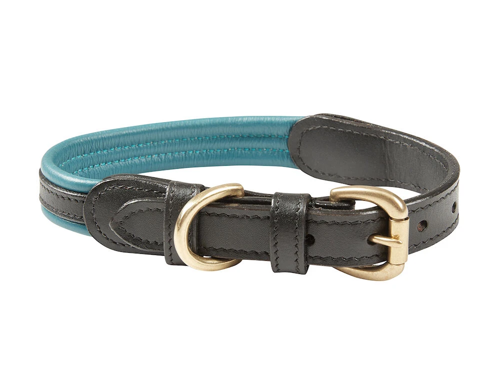 WEATHERBEETA Padded Colour Leather Dog Collar