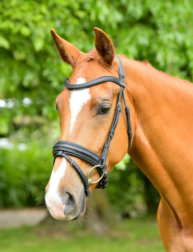 COLLEGIATE ComFiTec Opulux Raised Dressage Bridle