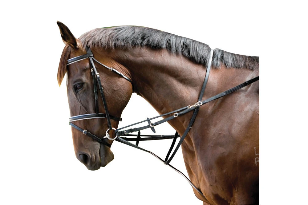 KINCADE Web Market Harborough/German Martingale