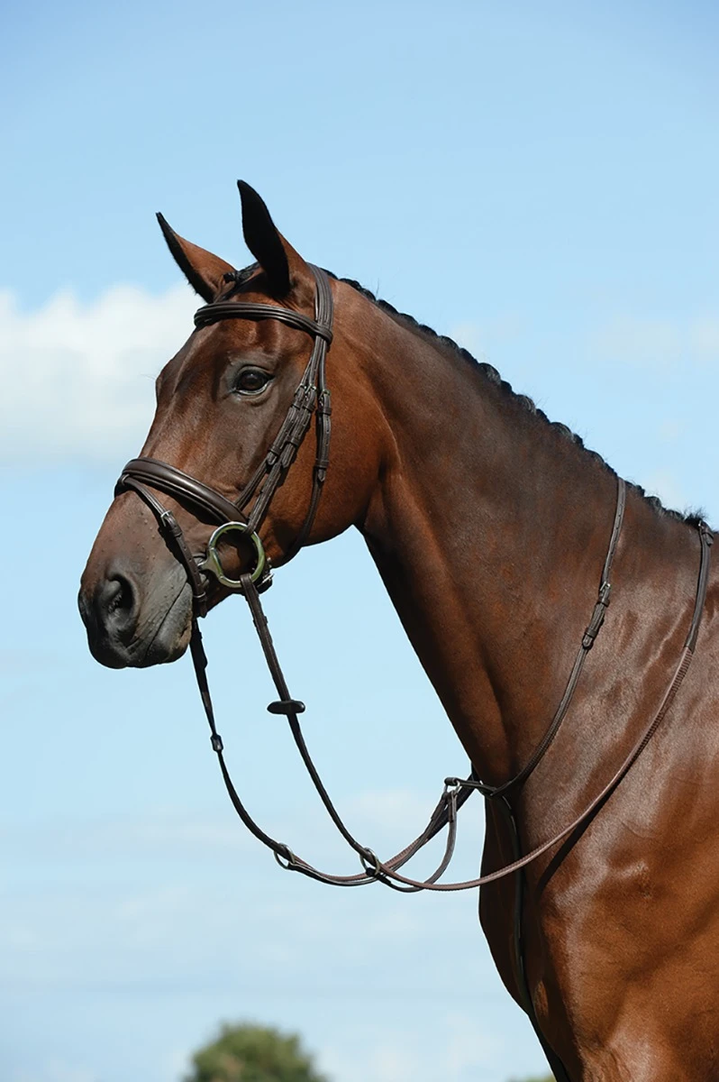 COLLEGIATE Syntovia+ Plain Flat Running Martingale