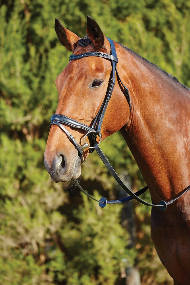 KINCADE U Shaped Crystal Crank Bridle