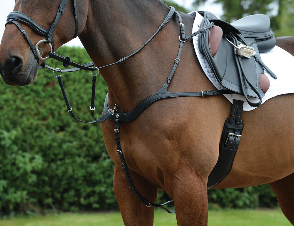 COLLEGIATE ComFiTec 5 Point Breastplate
