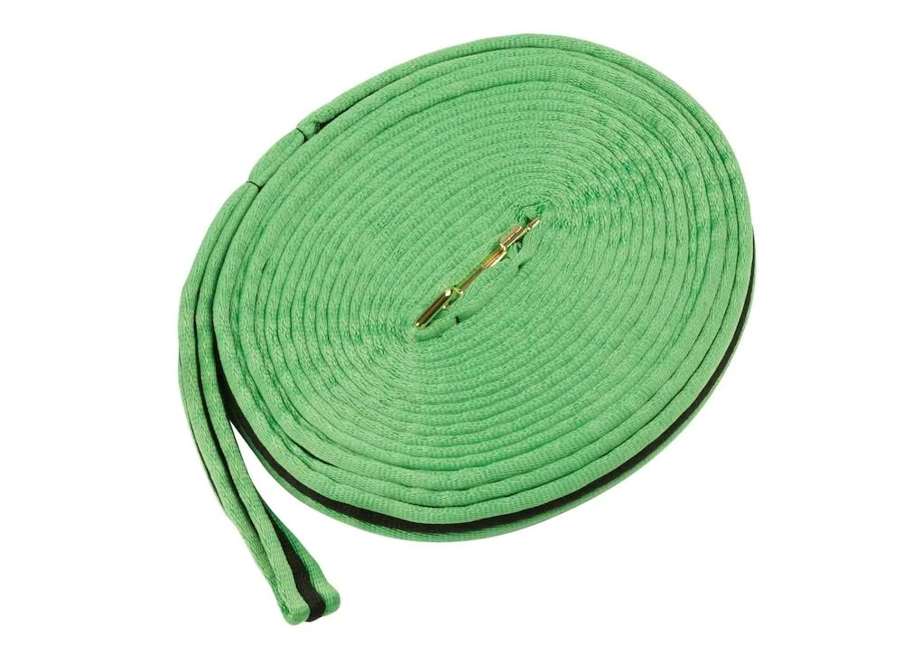 KINCADE Brights Two Tone Padded Lunging Rein