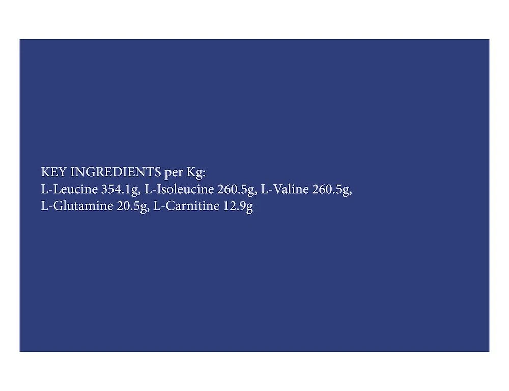 RANVET Bcaa Powder