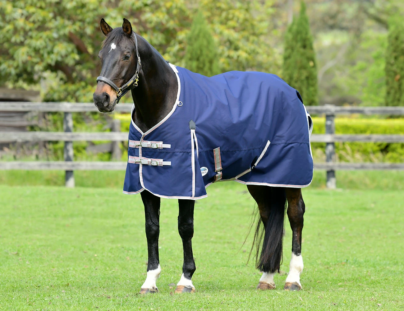 WEATHERBEETA ComFiTec Essential Plus Standard Neck Lite Plus