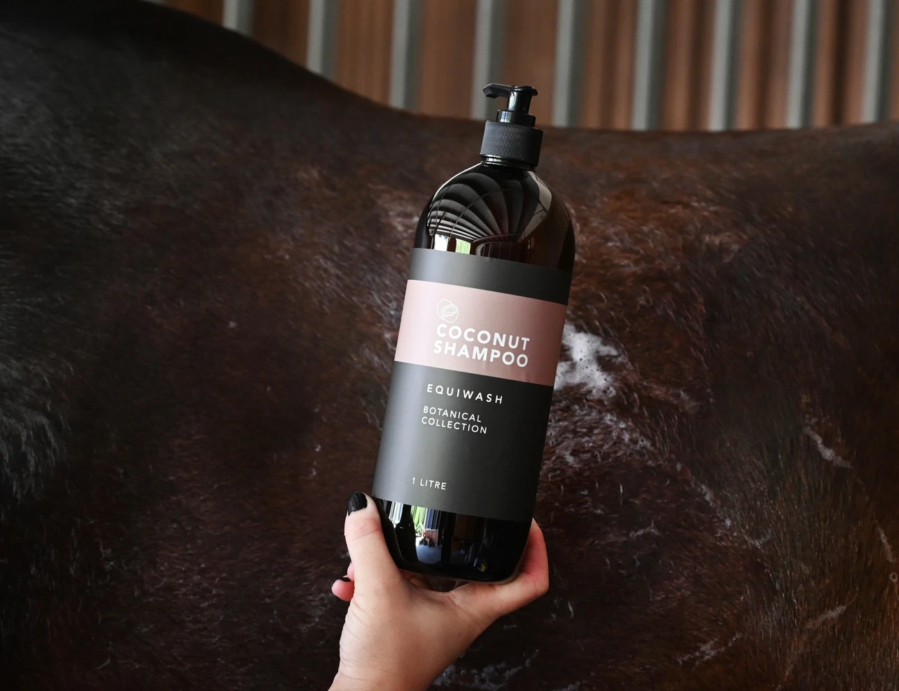 EQUIWASH Botanical Coconut Shampoo