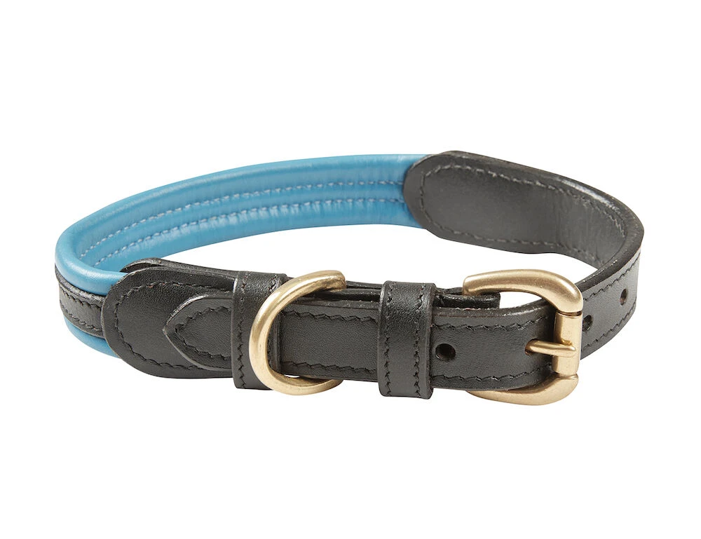 WEATHERBEETA Padded Colour Leather Dog Collar