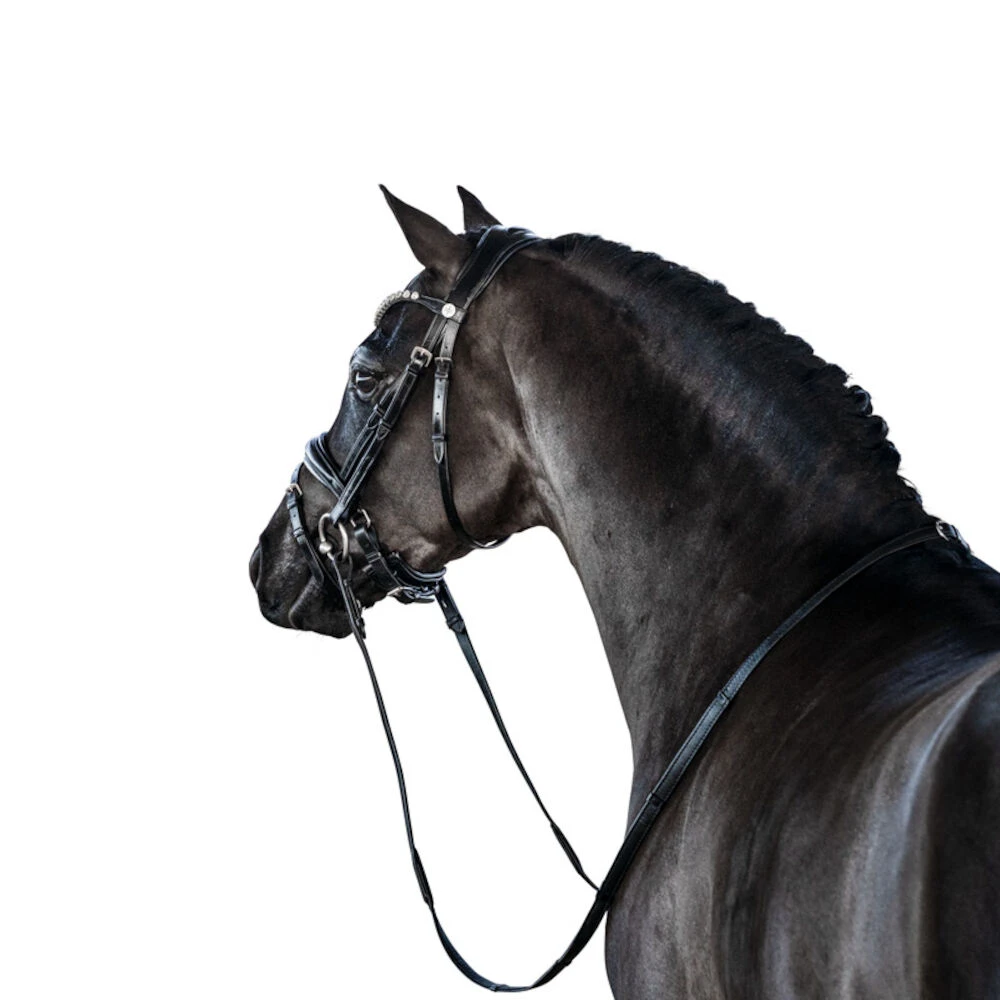 LARA TWEEDIE Essential Pony Bridle With Flash