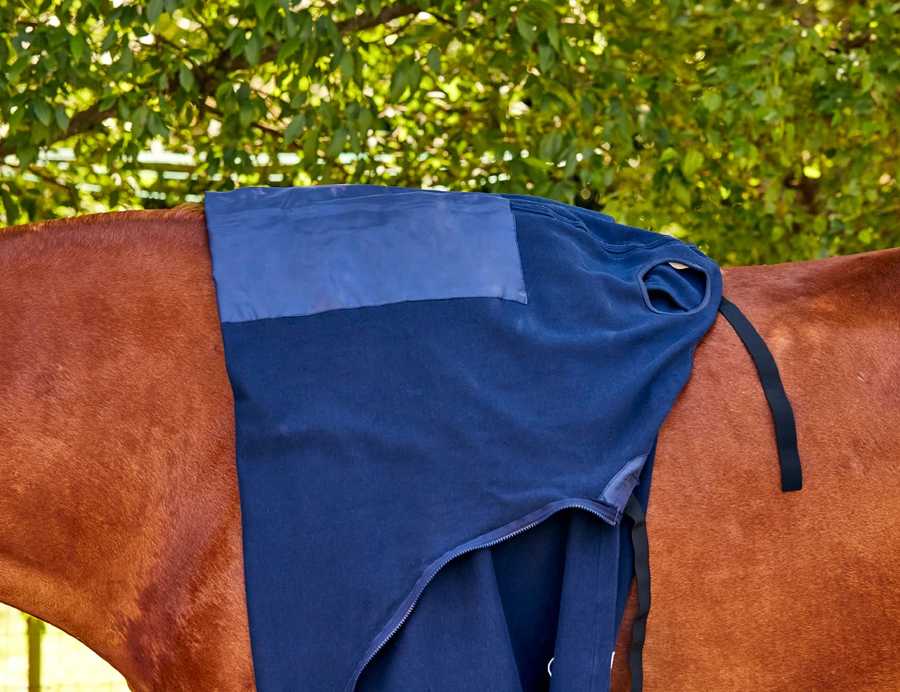 WEATHERBEETA Cotton Stretch Hood With Zip