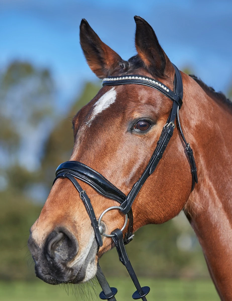 KINCADE Comfort Crown Patent Flash Bridle