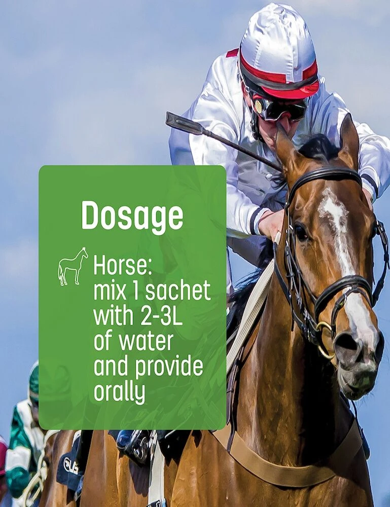 CEVA Green Amino Powder