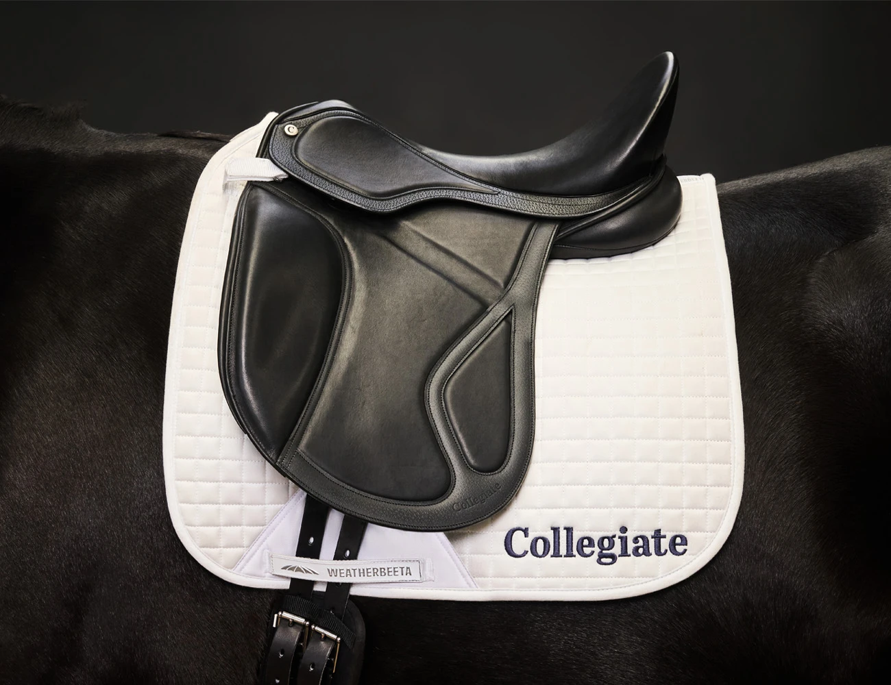 COLLEGIATE Acclaim Dressage Saddle