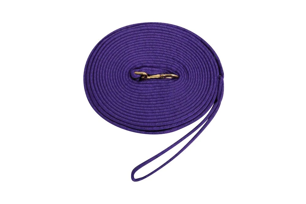 KINCADE Two Tone Padded Lunging Rein