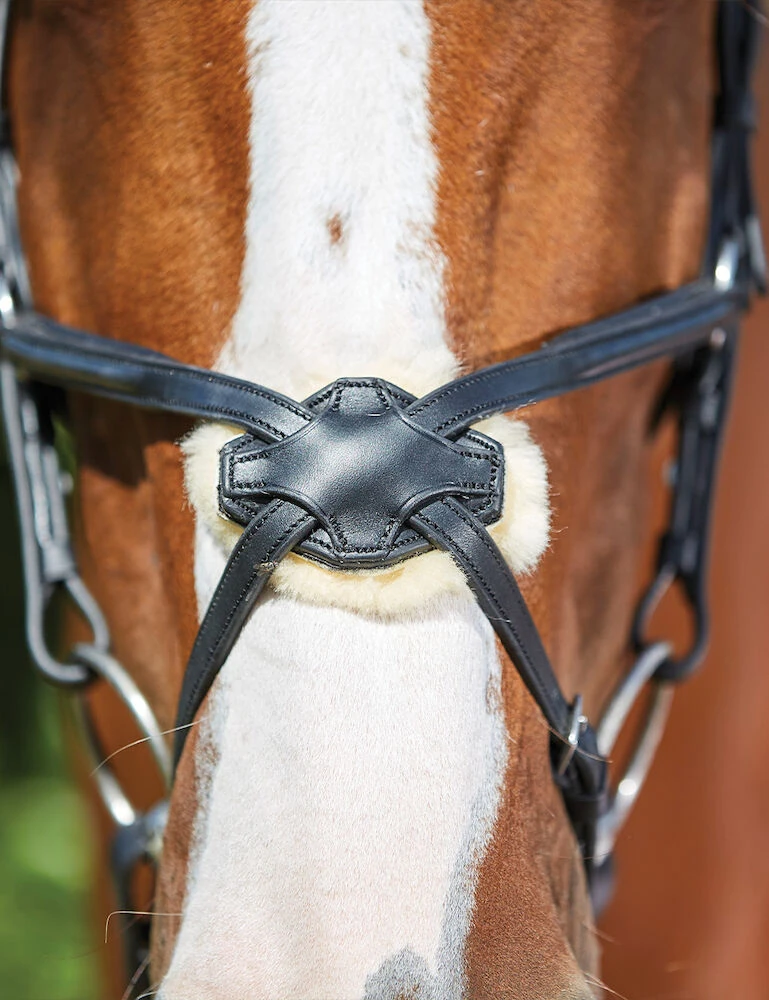 COLLEGIATE ComFiTec Grackle Bridle