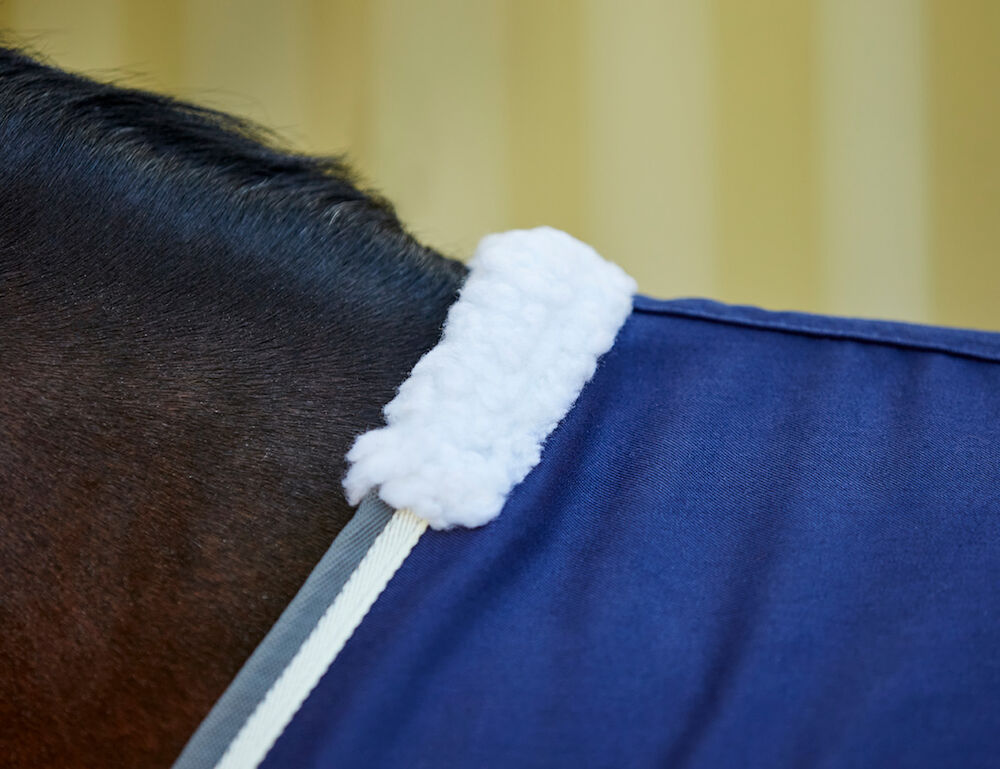 WEATHERBEETA Show Sheet Standard Neck