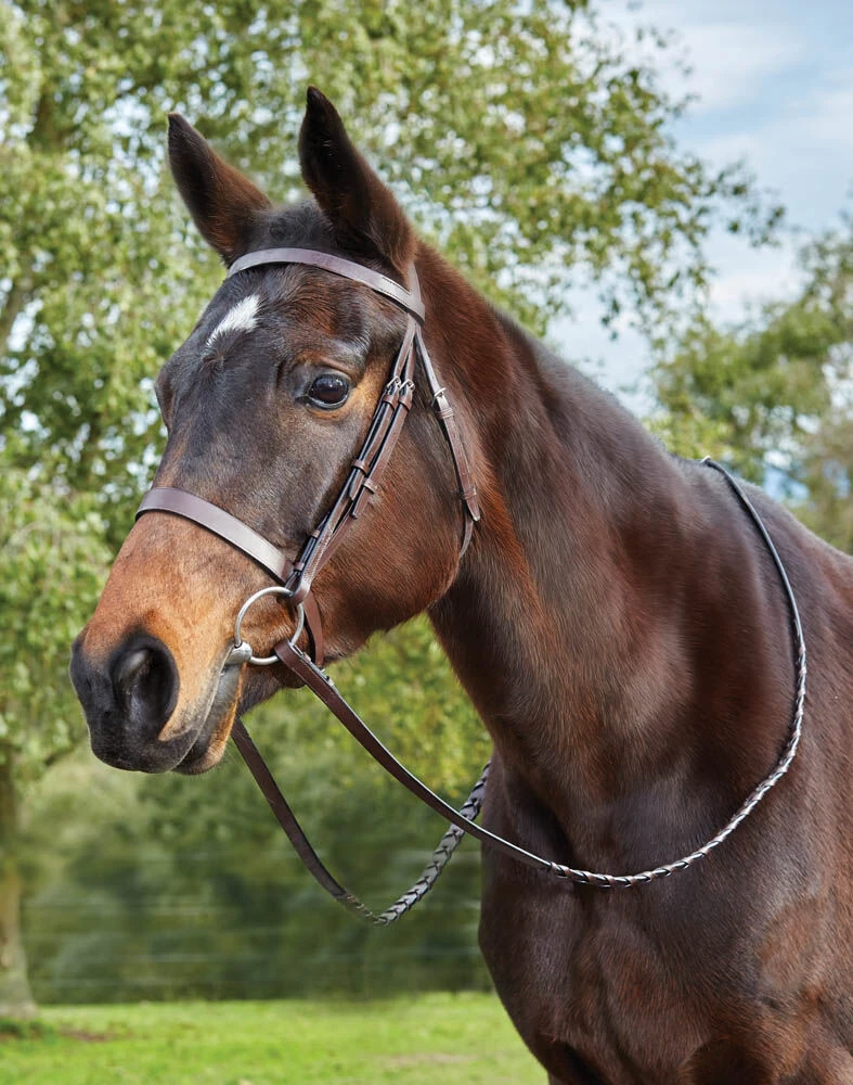 KINCADE Flat Cavesson II Bridle