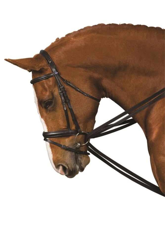 KINCADE Web Draw Reins
