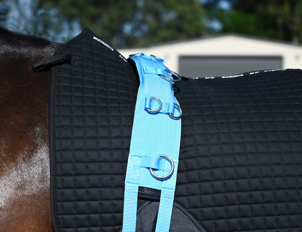 KINCADE Brights Deluxe Equigrip Lunge Roller