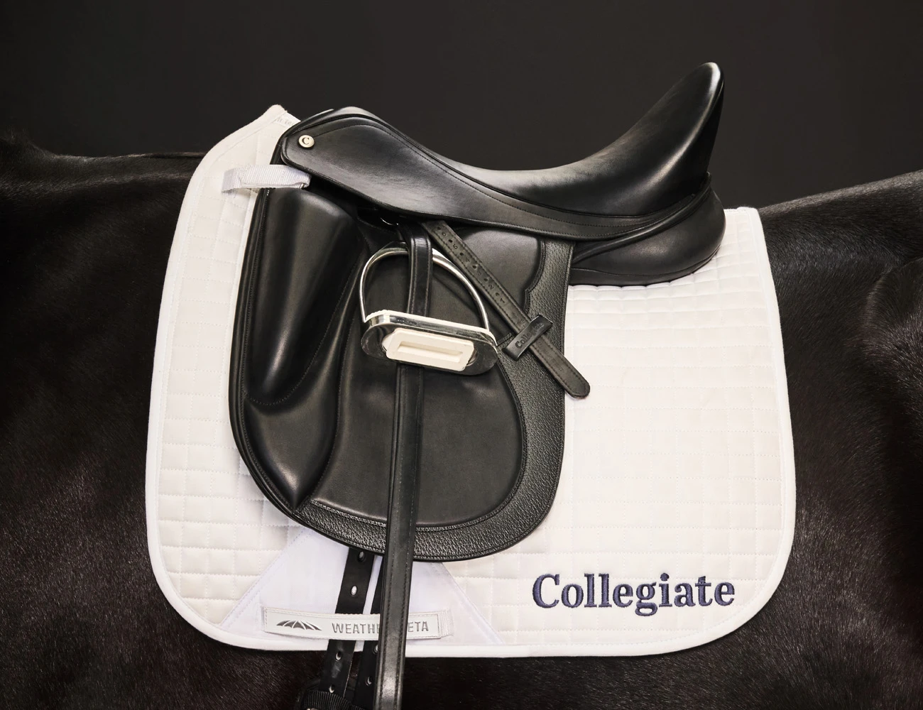 COLLEGIATE Resolute Dressage Saddle