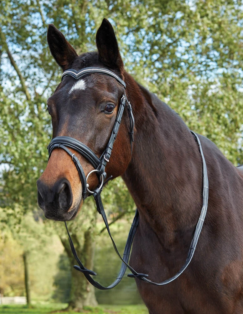 KINCADE Deep V Crystal Flash Bridle