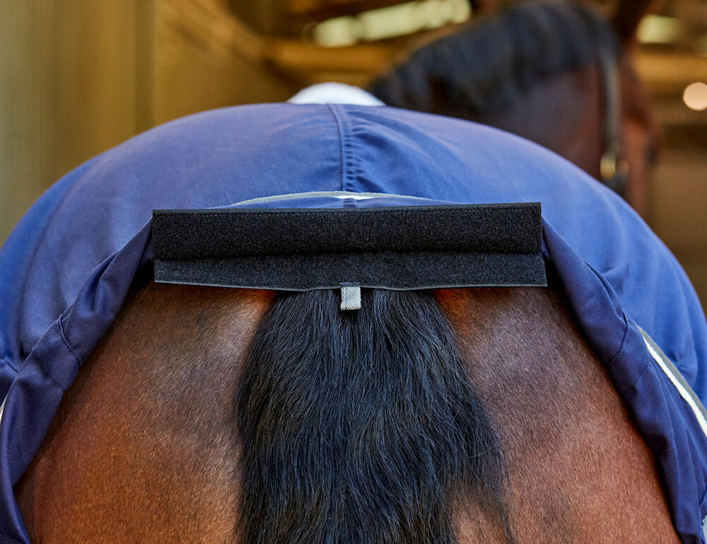 WEATHERBEETA Show Sheet Standard Neck